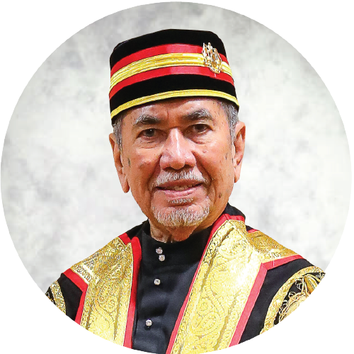 Tan Sri Dr. Wan Junaidi Tuanku Jaafar